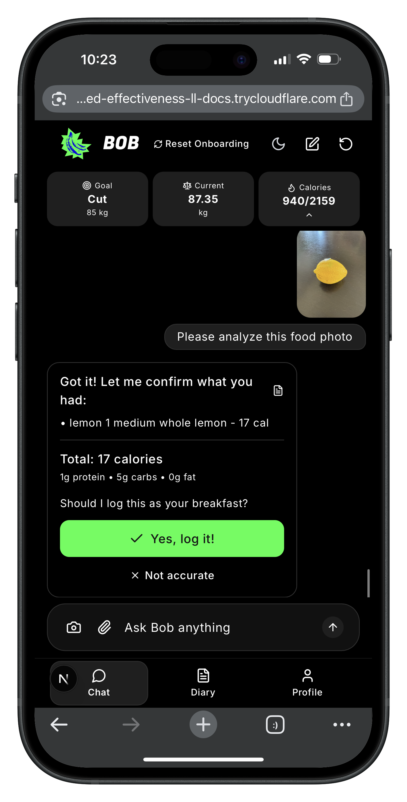 Bob helping with restaurant choices